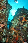 Ambiance-Praslin Baie chevalier-4m-20190610-Denis-ADER-DSC_9068_tn